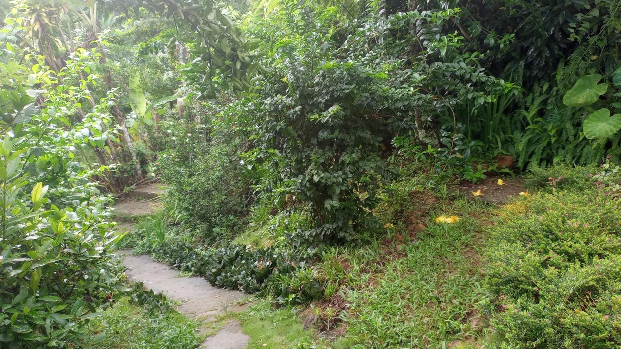 Ilha Grande - Casa Praia Da Longa מראה חיצוני תמונה